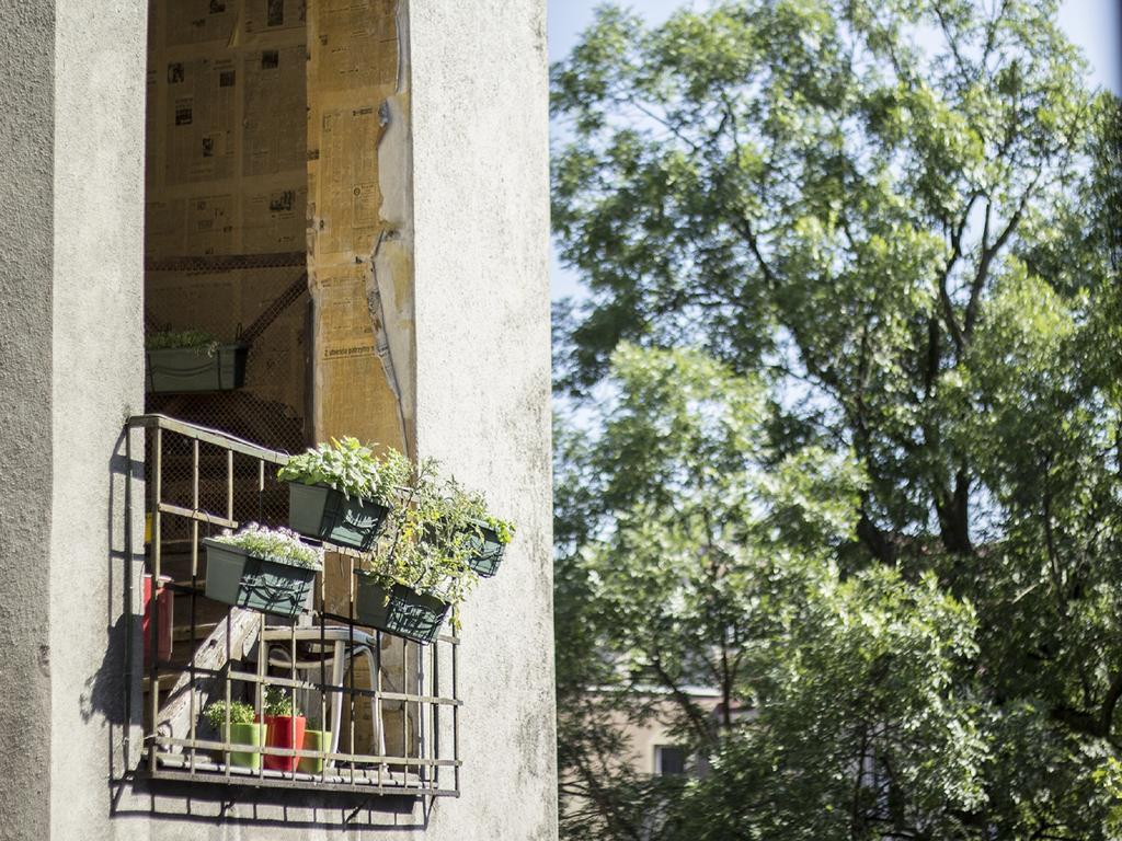 Blueberry Hostel - Krakow — Zdjęcia 1